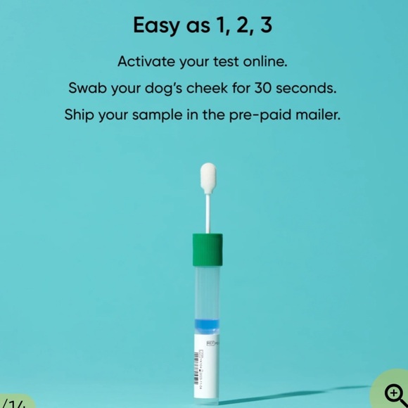 Embark Dog DNA Test Kit – Breed & Health, New in Box - Picture 4 of 6